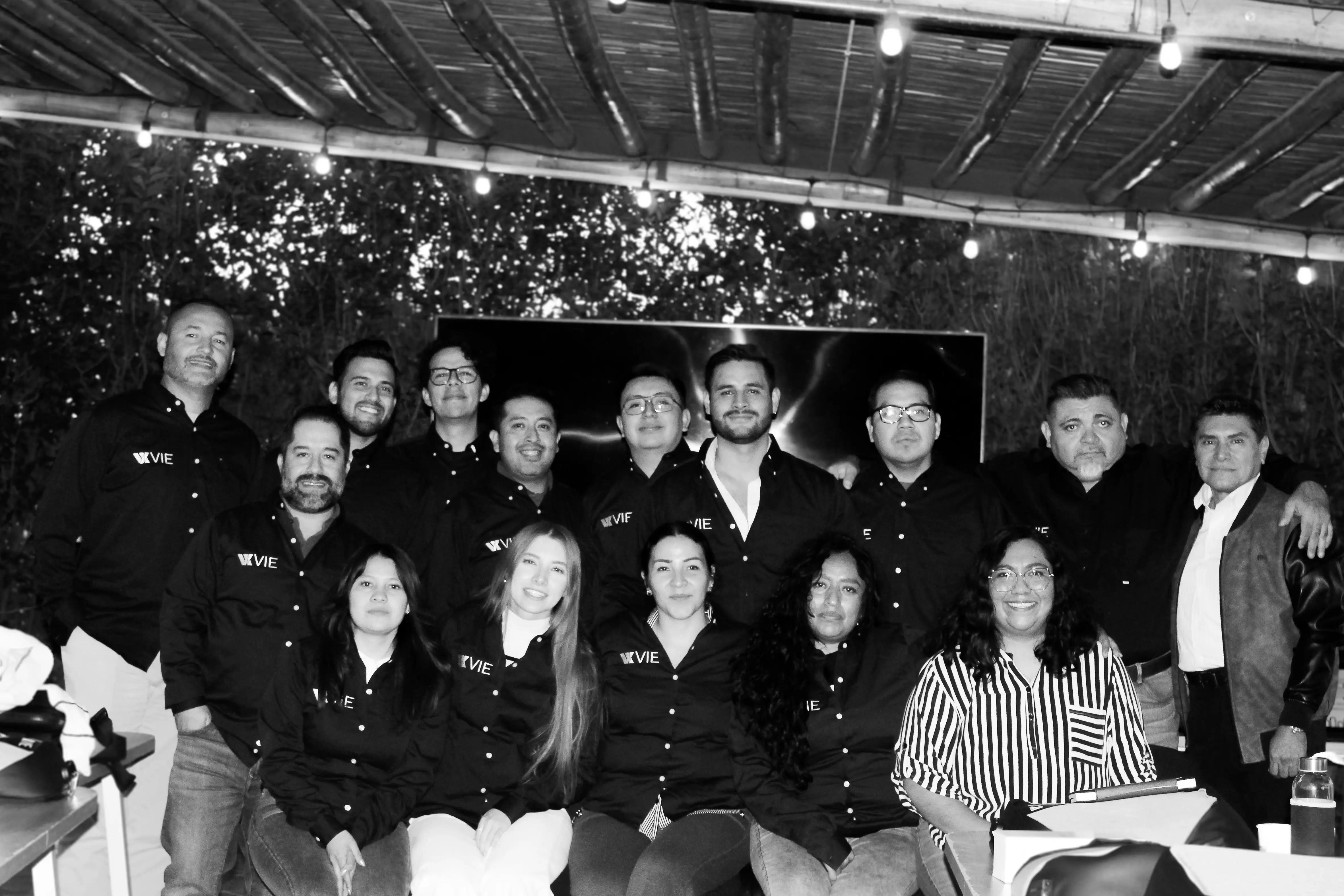 Proyecto destacado VIE