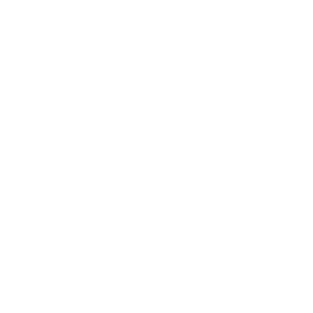 VIE creó página web de GIT